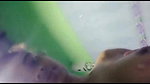 very horny girl masturbating in bathroom