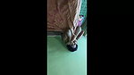 young indian college girl