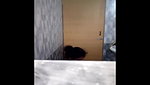 beautiful desi girl bathing caught by hidden cam 3 clips