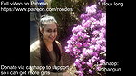 Sexy Punjabi Girl Blowjob And Fucked
