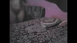 desi girl neha enjoying hardsex with hubby