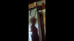 desi horny bhabhi showing pussy