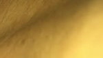 Beautiful sucker waiting for cum