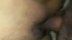 Punjabi girl fucking