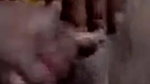 Village Bhabi Showing And Fingering