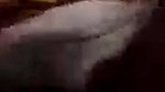 Village Bhabi Showing And Fingering
