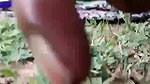 Mature bhabhi outdoor fucking