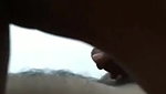 Desi cute girl fucking
