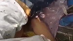 Village beauty Randi fucking in jungle