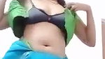 Desi Bhabhi Striping Sari