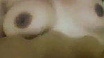 Village Bhabhi Fucking Moaning & Talking