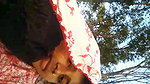 Desi bhabi Outdoor fun
