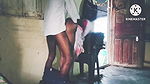 Marathi wife fucking doggy style hard core