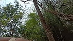 DEsi Mture Hw Fuking outdoor with neighbr