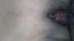 Her shaved pussy fucking