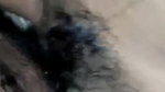 Cute gf fucking