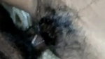 Cute gf fucking