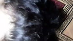 Horny Mature Wife Mouth Fucking