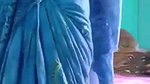 Mature bhabhi fucking by devar