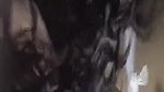 Horny Paki Wife Fucking With Husband