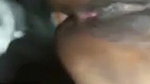 Beautiful bhabhi fucking mms many clips