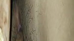Desi cute wife leaked videos