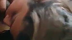 Newly Married Hot Wife On Honeymoon