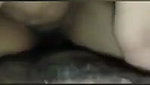 Beautiful bhabhi sucking and fucking