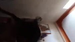 Married couple hard fucking video full 8 min