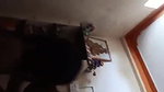 Married couple hard fucking video full 8 min