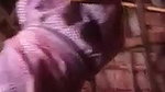 Village bhabhi captured