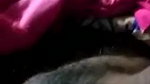 Village mature bhabhi showing