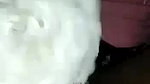 Sexy Wife Blowjob and Ridding Dick