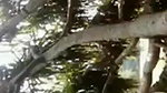 Lover Outdoor fun