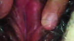 Beautiful Punjabi Girl Showing her Pink Hairy Pussy