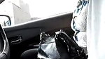 Driver Showing his Big Dick to hot Grl