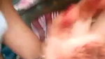 Cute Young Couple Fucking