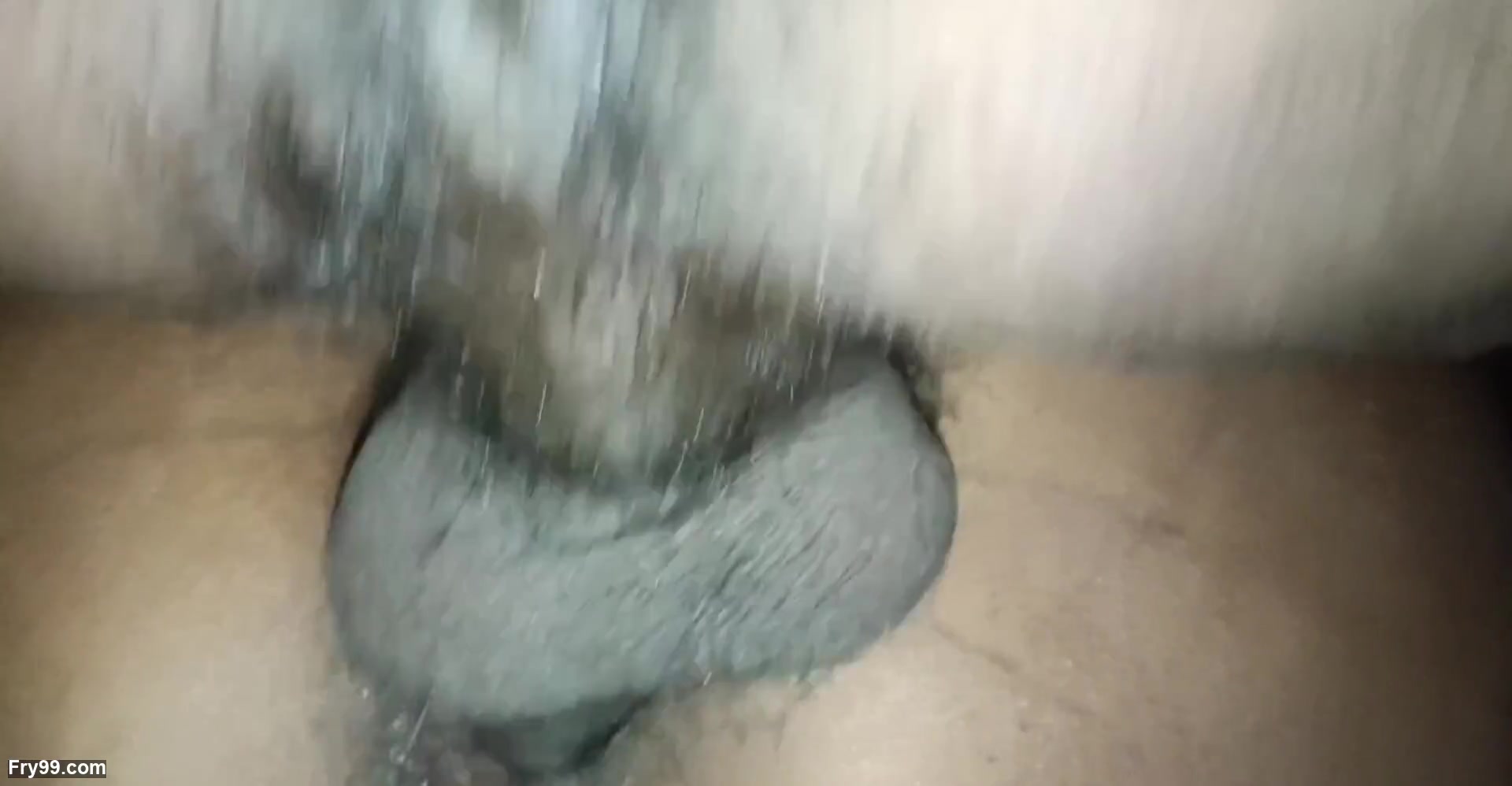 Frame 10