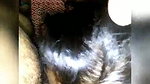 Young girl blowjob and fucked hard