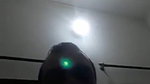 Beautiful bhabhi fucking 2 clips