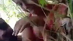 Beautiful girl fucking in jungle