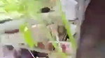 Beautiful girl fucking in jungle