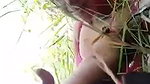 Beautiful girl fucking in jungle