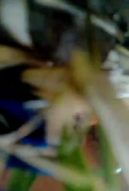 Frame 10