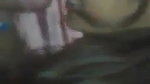 Cute girl blowjob with clear talking
