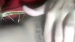 Cute Des Village Girl Fingering