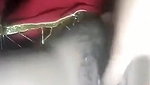 Cute Des Village Girl Fingering