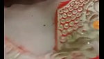 Rina Kumari Double Enjoy Tango Pvt Show Play