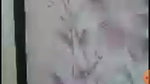Myd rand STRIPCHAT video 3182025-301