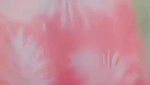 Myd rand STRIPCHAT video 3182025-132